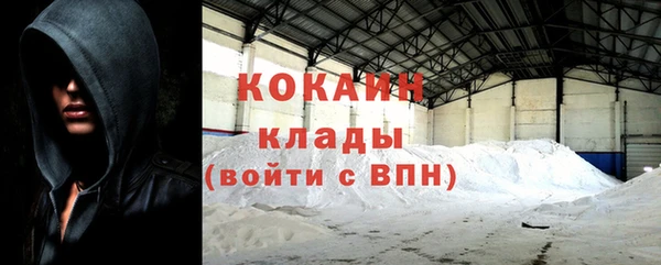 прущий лед Алзамай
